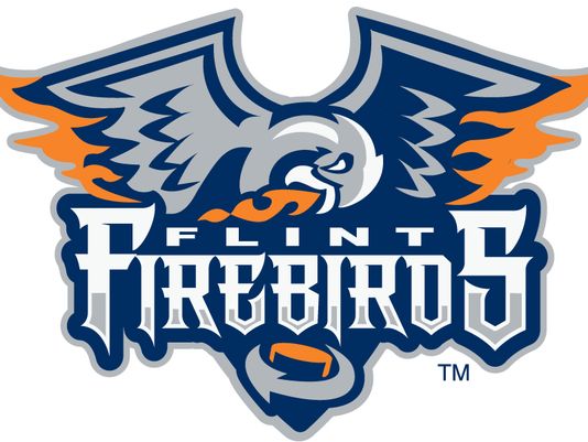 Flint Firebirds Logo
