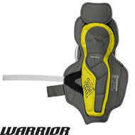 WARRIOR Dynasty AX2 Shin Guards- Sr