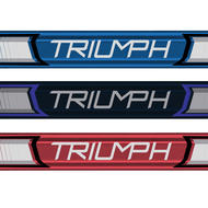 BRINE Triumph Power Lacrosse Handle- Attack 30