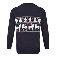 CCM Holiday Ugly Sweater- Sr '24
