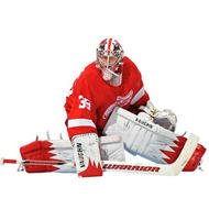 REAL. BIG. Player Fathead- Detroit