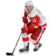 REAL. BIG. Player Fathead- Detroit