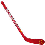 HOCKEY STAR Composite Mini Hockey Stick