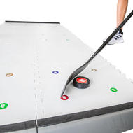 HOCKEYSHOT AB16 Skills System