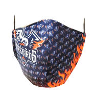 Jr Flint Firebirds Face Mask- Yth