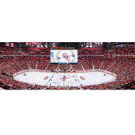 MASTERPIECES NHL 1000pc Panoramic Puzzle