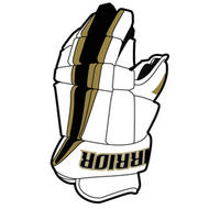 Warrior Hitman Hockey Gloves- Jr