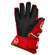 WARRIOR Alpha LX2 Comp Hockey Gloves- Jr