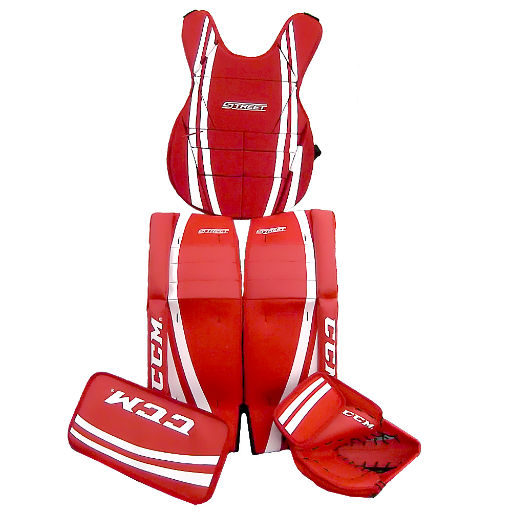 nhl street hockey goalie set