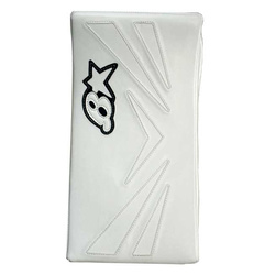 BRIAN'S NetZero Goal Blocker- Int