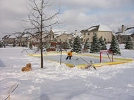 NiceRink Outdoor Ice Rink