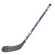 CAHA Custom Mini Sticks