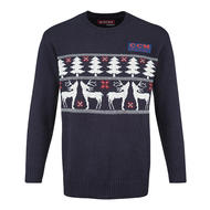 CCM Holiday Ugly Sweater- Sr '24