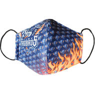 Jr Flint Firebirds Face Mask- Sr