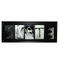 PAINTED PASTIMES Skate Montage Framed