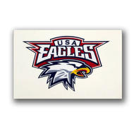 Team Helmet Stickers/Decal